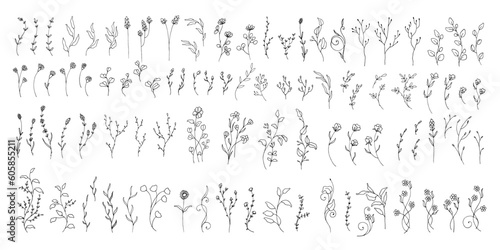 Big bundle of floral hand drawn element. Minimal flower ornament