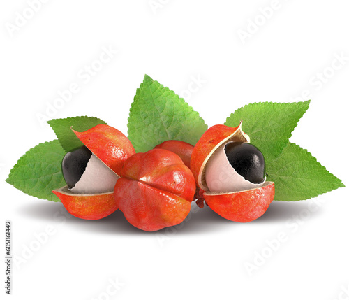 Brazilian berries traditional guarana seed