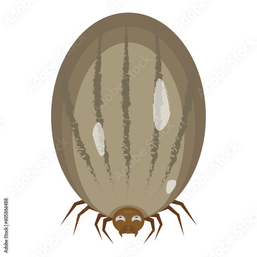 vector illustration of a tick on white background