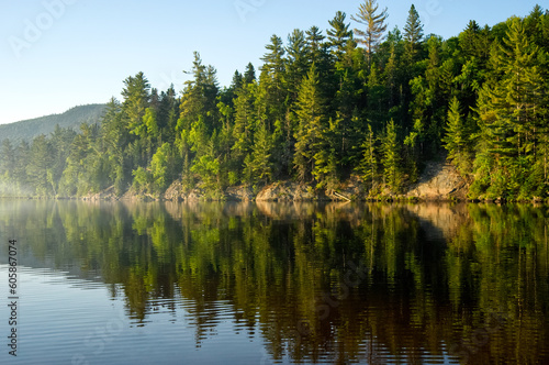 Lake Provost