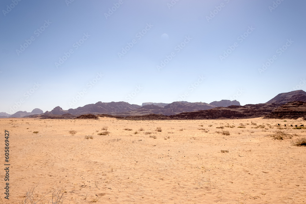 Scenic vista of Wadi Rum (Valley of the Moon) desert in southern Jordan, showcasing its striking red sand dunes, magnificent sandstone formations, and rugged granite rock landscapes. 