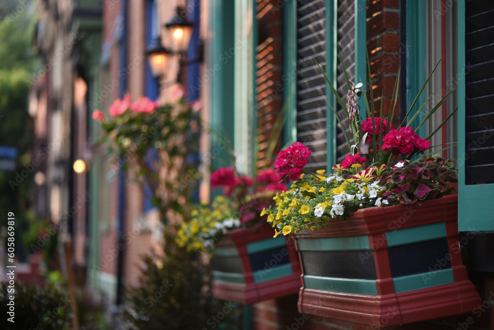 Fototapeta premium Flowers in neighborhood window boxes