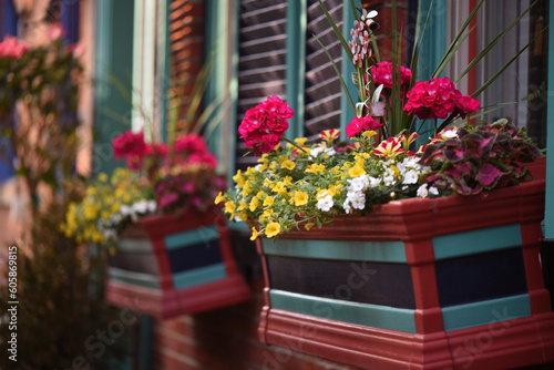 Foto Flowers in neighborhood window boxes