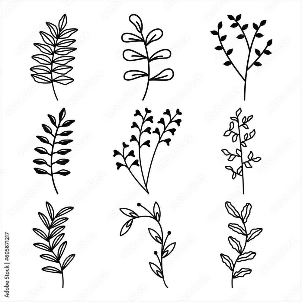 Set of leaves vector Set of leaves vector