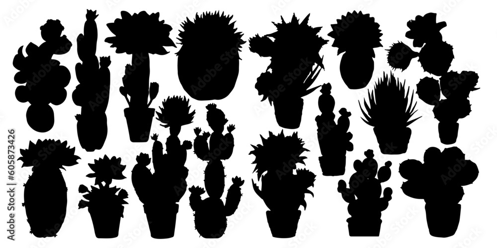 cactus silhouettes