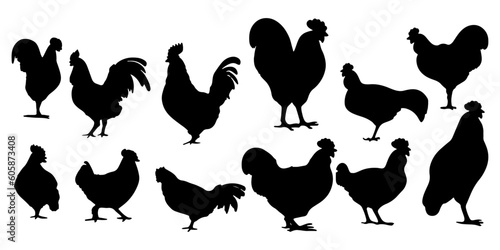 hen silhouettes