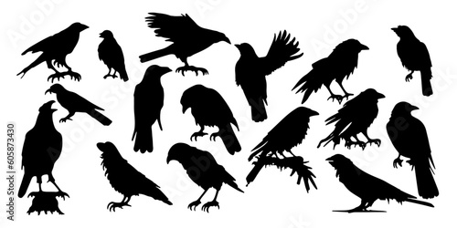 raven silhouettes