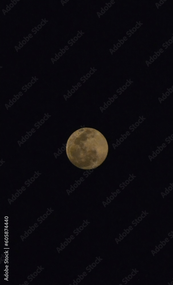 Moon Magic Unveiled: Discover the Iconic Lunar Picture Taking Moon Magic Unveiled: Discover the Iconic Lunar Picture Taking
