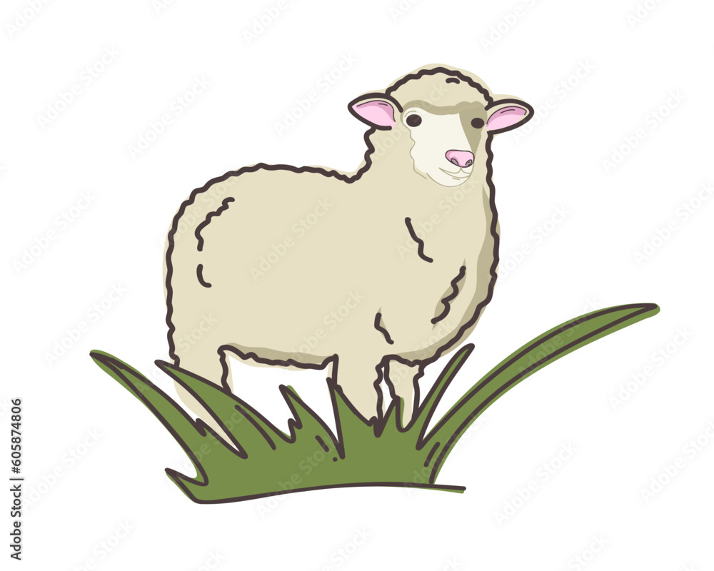 Obraz premium A sheep in a field of grass