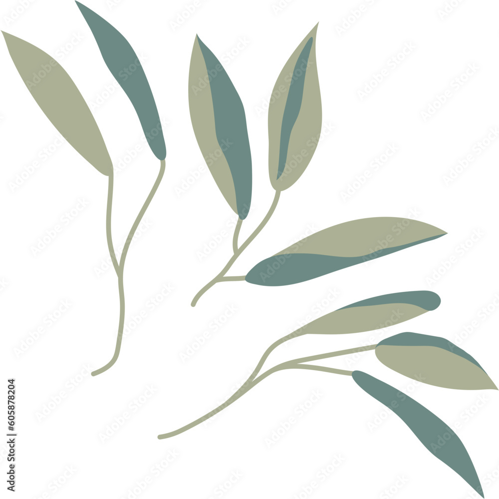 Fototapeta premium Branch Leaves Design Element
