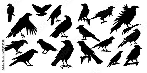 raven silhouettes
