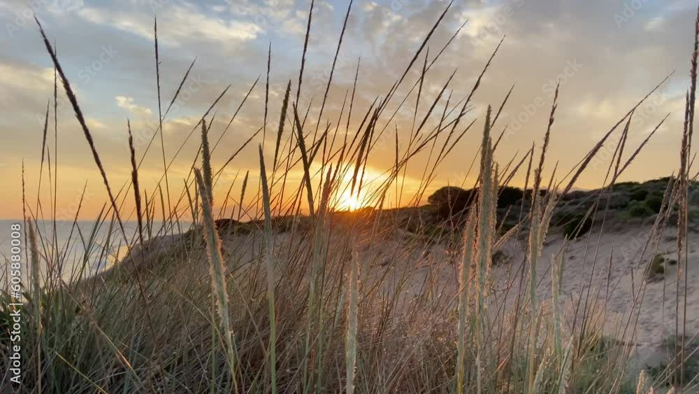Walking along the shore of a beach under a warm and magical sunset in southern Spain. Walking along the shore of a beach under a warm and magical sunset in southern Spain.