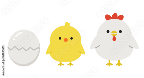 卵から成長するかわいいニワトリとヒヨコの全身イラスト