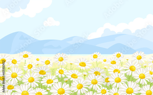 Landscape with field of daisy flowers, blue sky and mountains on the horizon. Vector cartoon illustration of nature.