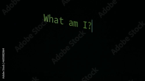 Sentient AI Artificial Intelligence Interacts with Human Via Green Text Chat