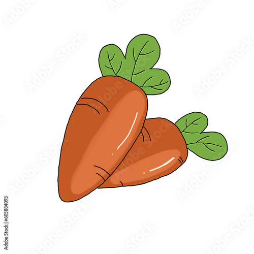 illustration of a leaf