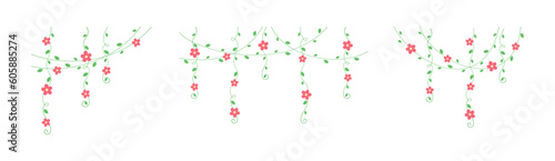 Vines with red flowers hanging vine curtain design  botanical elements vector illustration set