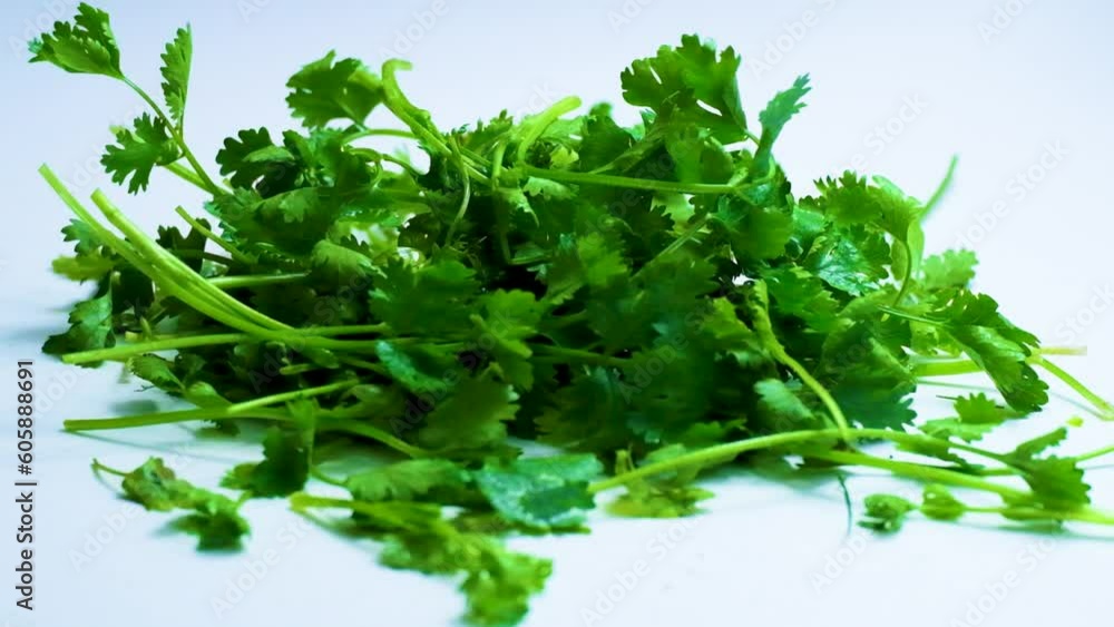 Reversed Slow Motion Shot of a Bunch of Parsley Falling onto a White Surface Reversed Slow Motion Shot of a Bunch of Parsley Falling onto a White Surface