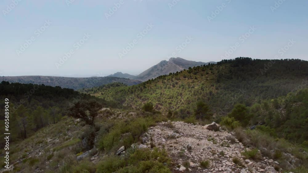 Epic Mediterranean scenery of a path on the top of a pine's forest Epic Mediterranean scenery of a path on the top of a pine's forest