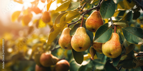 Ripe yellow Pears hanging on a pear tree branch in garden, blurred background, copy space. Orchard background, copy space. Generative ai illustration photo