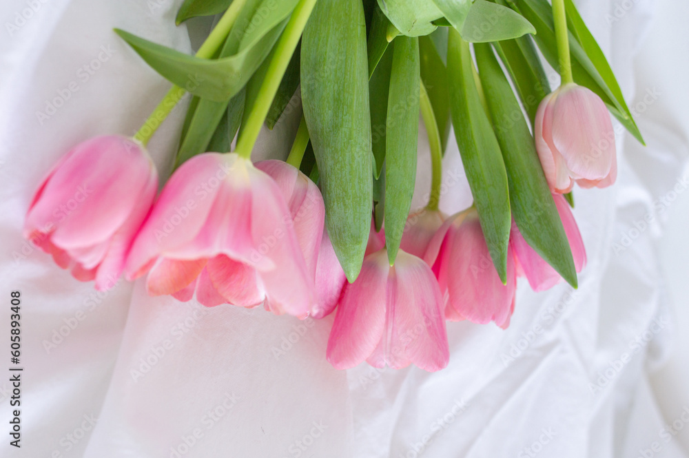 Pink tulips bouquet lying on white wrinkled blanket background copy space