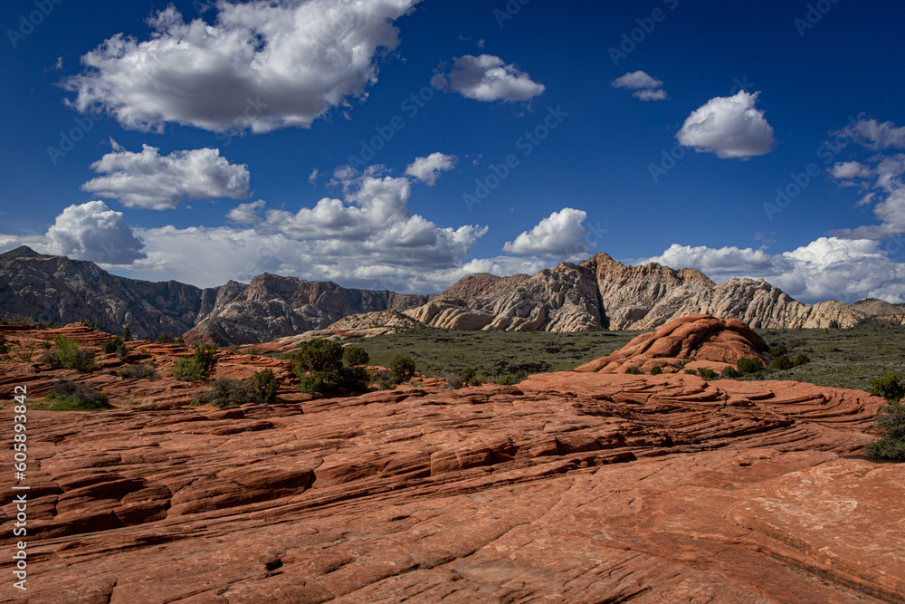 Snow Canyon View Snow Canyon View