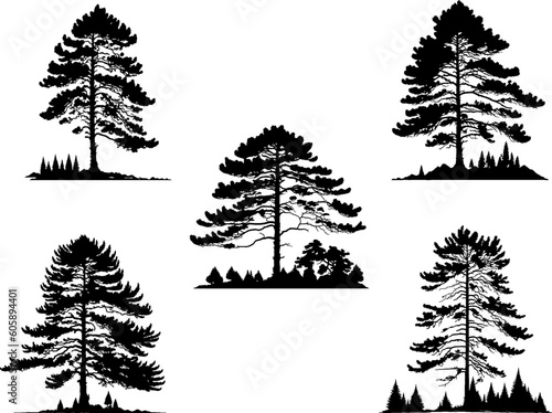 Set of tree silhouette vector illustration. Pine tree, fir tree, big old tree isolated on white