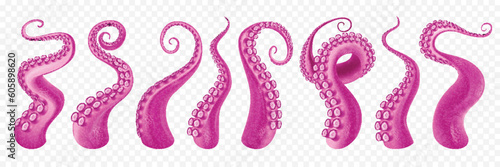 Octopus Tentacles Transparent Set