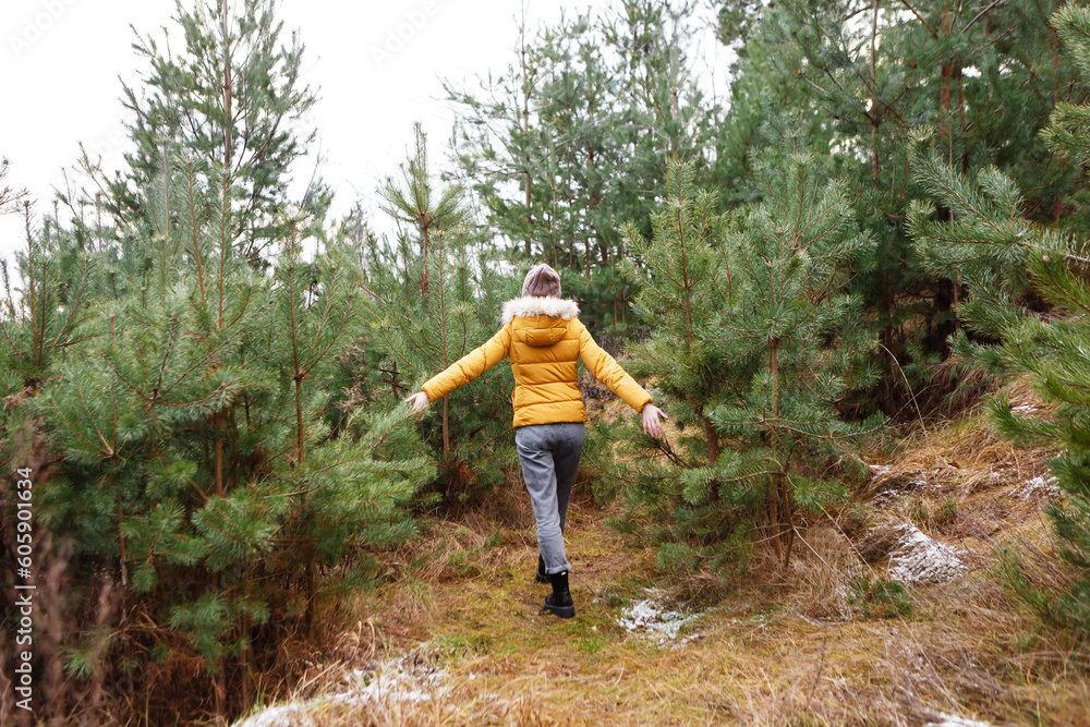 Obraz premium young woman in the middle of a coniferous forest alone