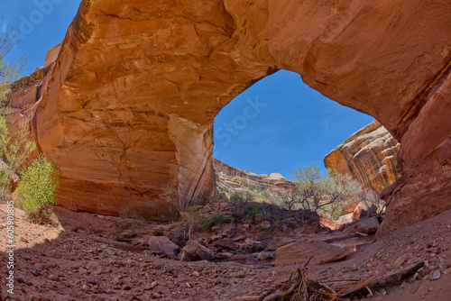 Kachina Bridge Arch at Natural Bridges National Monument UT