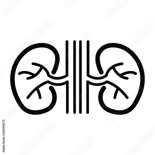Kidneys vector icon