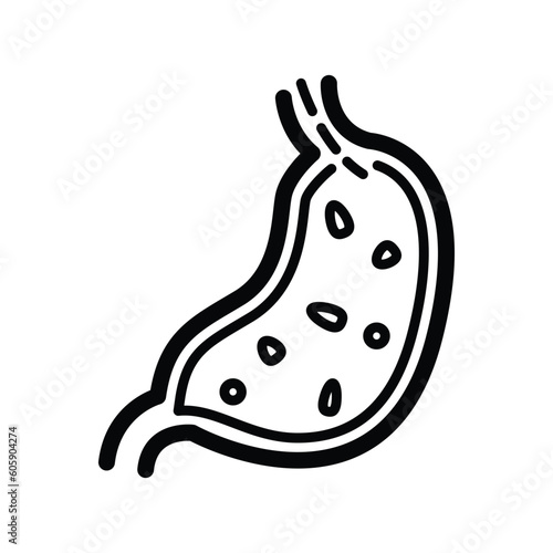 Stomach vector icon