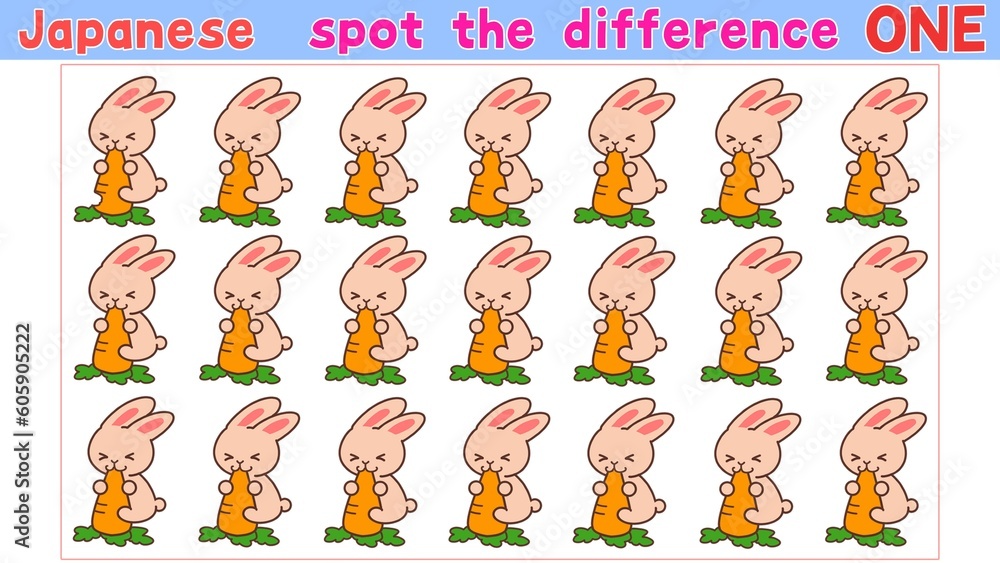 Fototapeta premium spot the difference