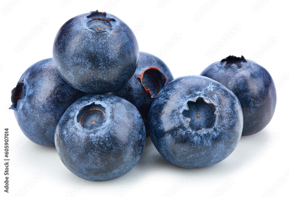 Obraz premium Blueberry Isolated with clipping path