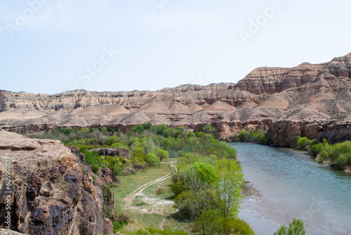 Lunar Canyon along with the Charyn River, there are many trees around. Chalk and brown mountains