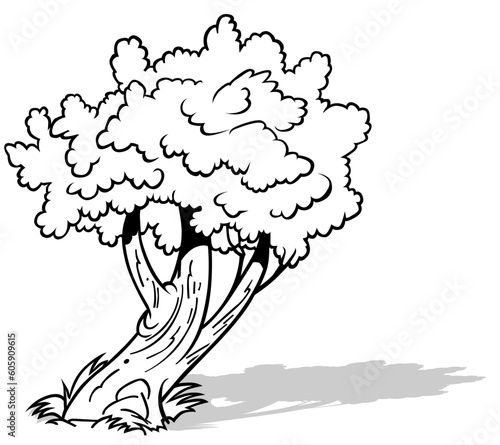 Drawing of an Inclined Deciduous Tree