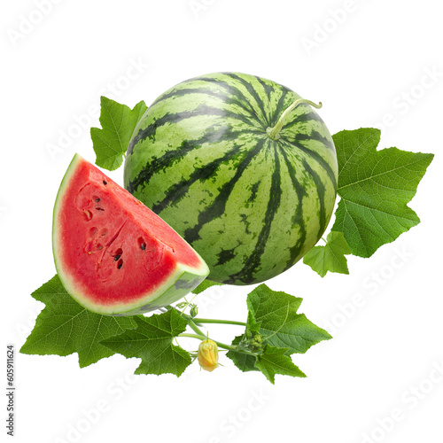 watermelon fruit with cut down half and sliced and leafe