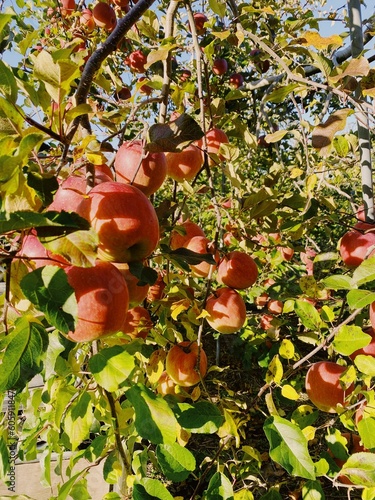 Processed with VSCO with fp4 preset