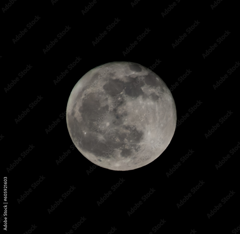 Obraz premium full moon in the night