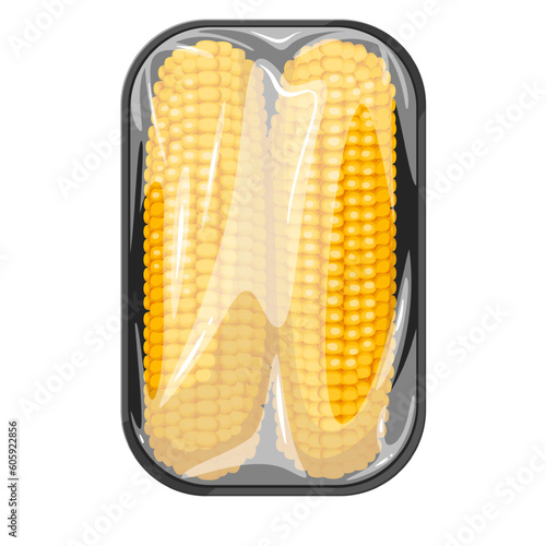 Corn cobs in plastic tray vector illustration. Cartoon isolated sweet ripe corncobs in supermarket package, ripe organic vegetable in styrofoam container with clear polyethylene wrapper, corn in pack