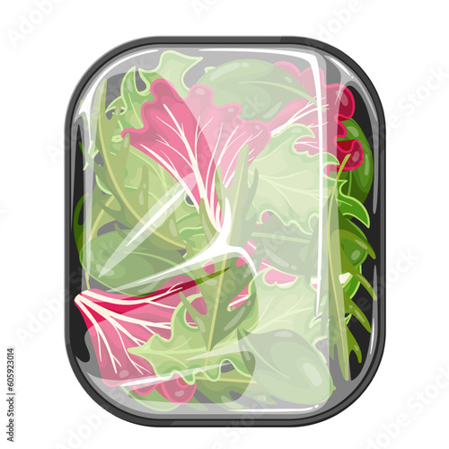 lettuce salad mix in plastic tray vector illustration. Cartoon isolated green and red healthy leafy vegetable in pack, natural organic salad leaf collection in container with clear cellophane wrap