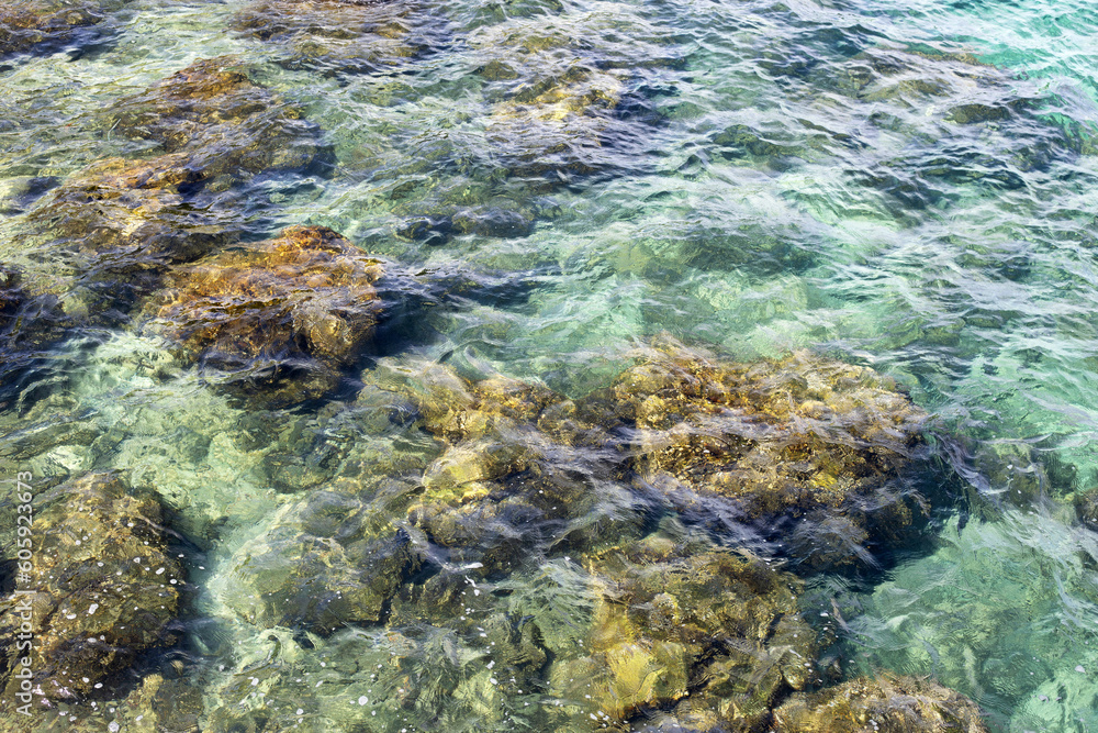 Obraz premium Clear sea surface with rock