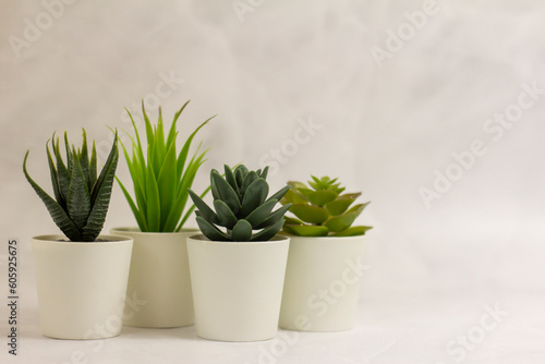 .Indoor artificial plants  various succulents in pots. Succulents in white mini-pots. Ideas for home decoration.Copy space .