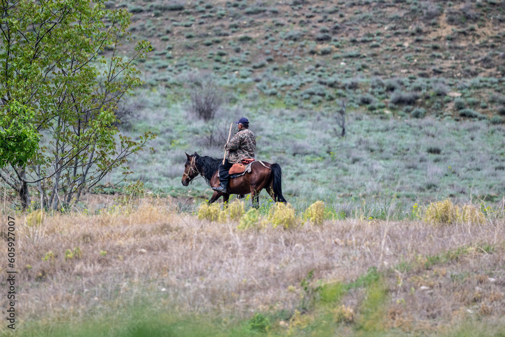 a shepherd on a horse rides on a mountainside against the backdrop of green vegetation a shepherd on a horse rides on a mountainside against the backdrop of green vegetation