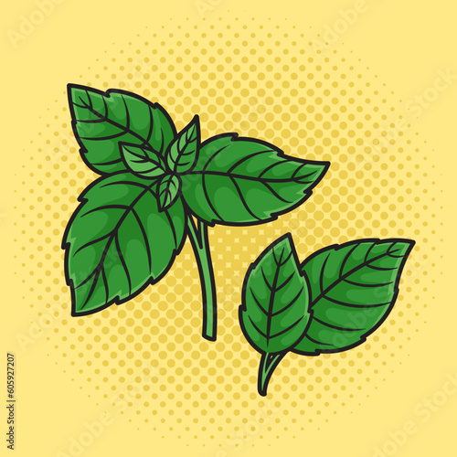 Cooking basil leaf pinup pop art retro vector illustration. Comic book style imitation.