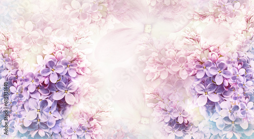Floral spring background. Background of lilac flowers. A postcard for a holiday, anniversary, celebration. Nature.