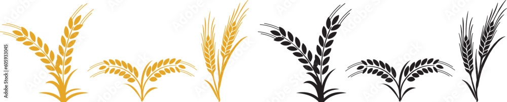 Wheat and rye ears. Barley rice grains and elements for beer logo or organic agricultural food. - obrazy, fototapety, plakaty 