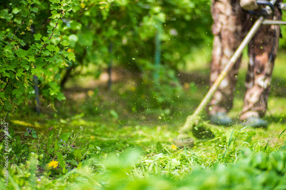 Man mowing tall grass with electric or petrol lawn trimmer in backyard. Gardening care tools and equipment. Process of lawn trimming with hand mower Man mowing tall grass with electric or petrol lawn trimmer in backyard. Gardening care tools and equipment. Process of lawn trimming with hand mower