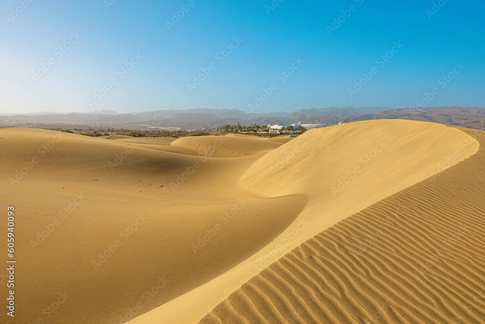 Maspalomas Dunes at sunset: several companies offer camel rides and sandboarding tours of the nearby dunes, giving visitors a chance to experience the unique landscape in fun and adventurous way.
