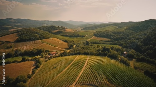 From above, witness the enchanting beauty of a vineyard in Tuscany, with its meticulously arranged rows of grapevines, rolling hills, and rustic farmhouses. Generated by AI.